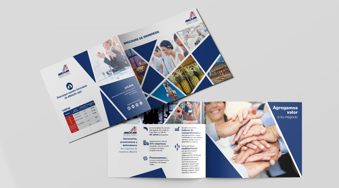 AMCHAM - Brochure de Membresía